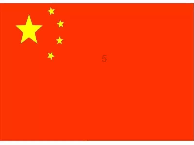 破碎的动物图形3