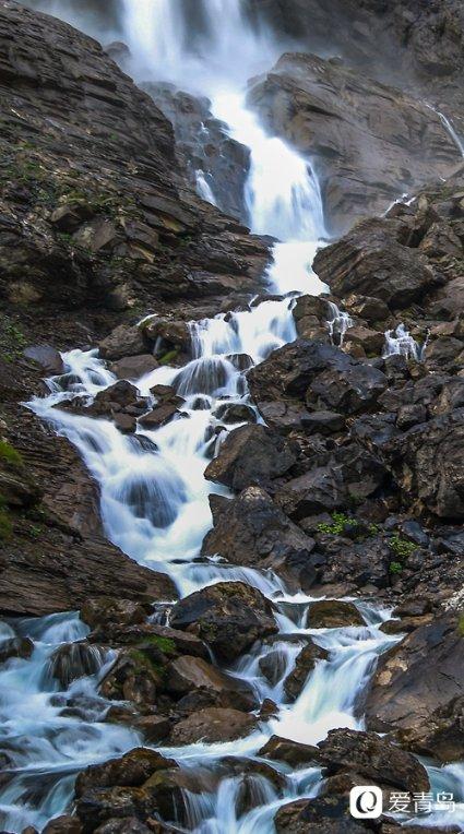 重庆奉节:100吨脐橙陆海新通道抢“鲜”出口