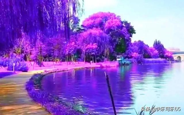 韩复榘被枪决之后，他的妻子和孩子沦落到哪里？儿子结局如何？